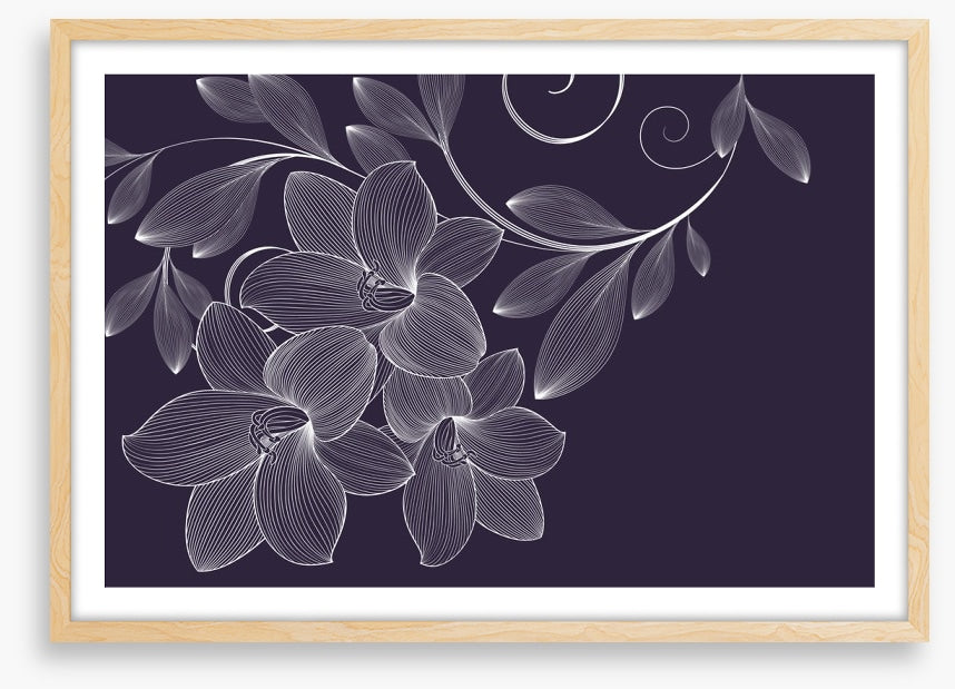 Lily flourish