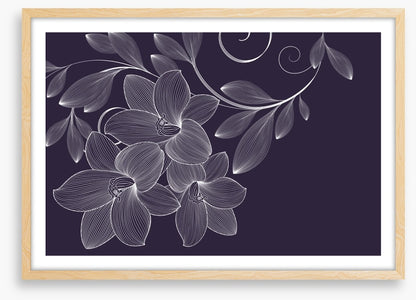Lily flourish