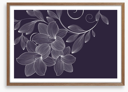 Lily flourish