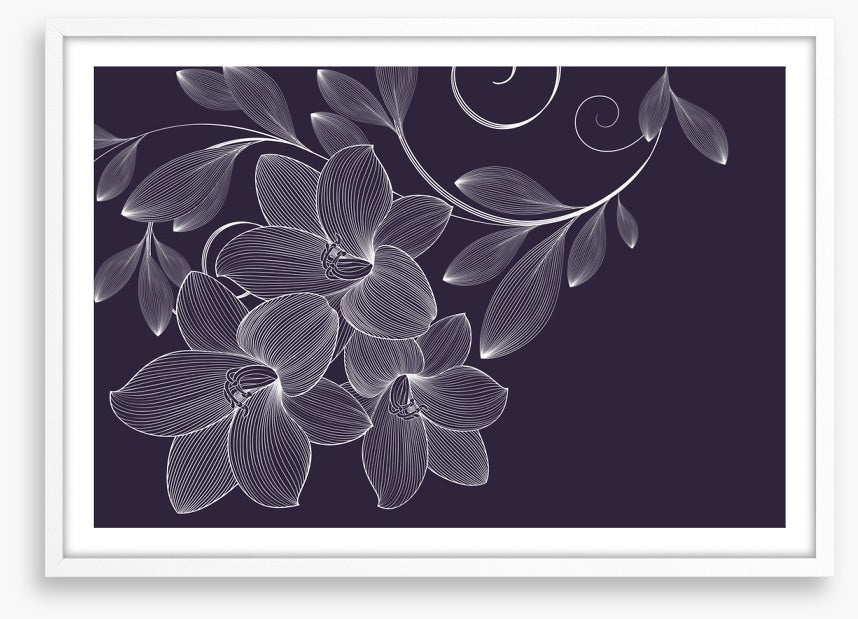 Lily flourish