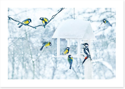 Feeding with friends