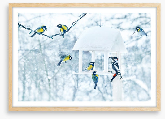 Feeding with friends