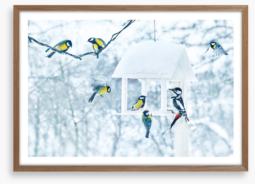 Feeding with friends