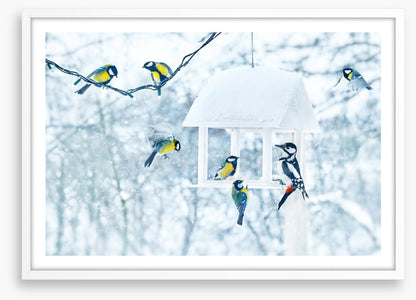 Feeding with friends