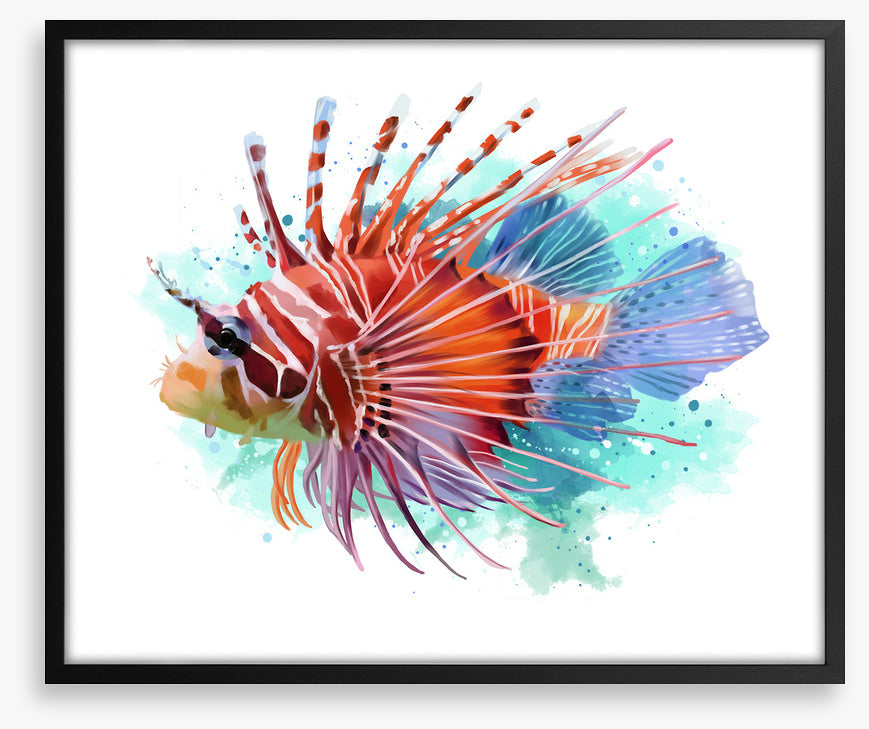 Lionfish splash