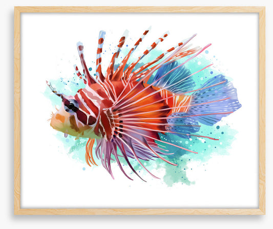 Lionfish splash