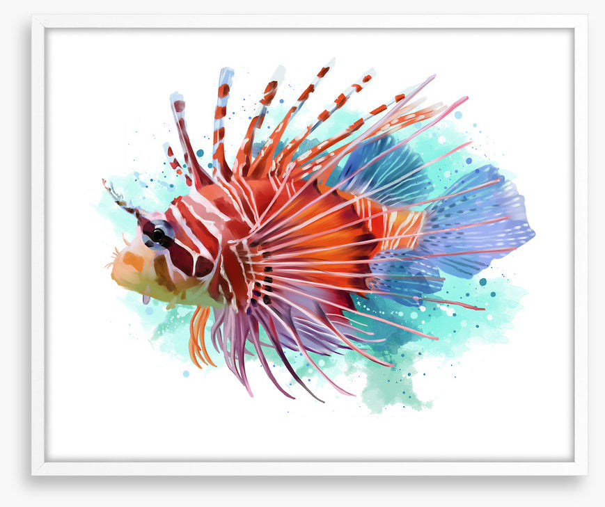 Lionfish splash