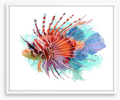 Lionfish splash