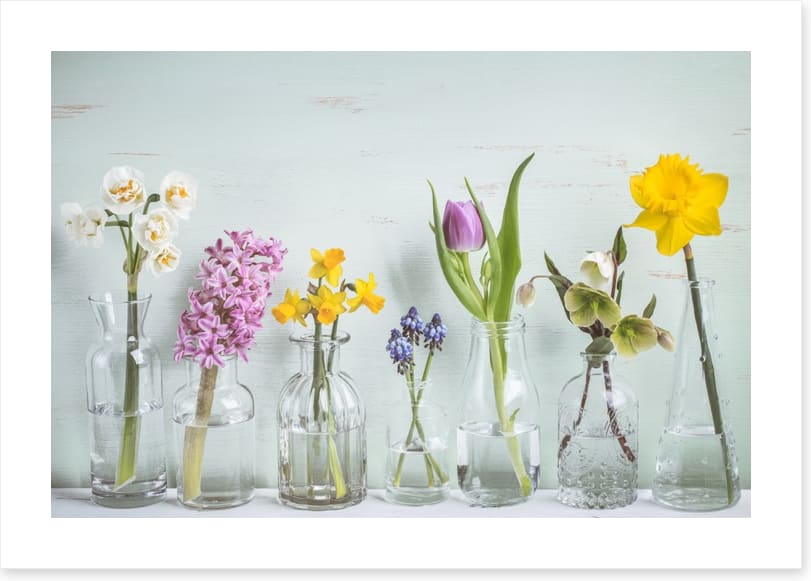 Seven days of spring