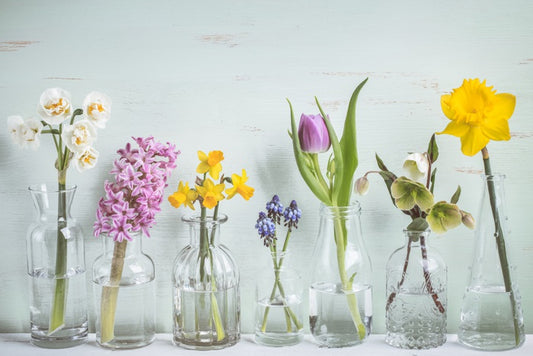 Seven days of spring