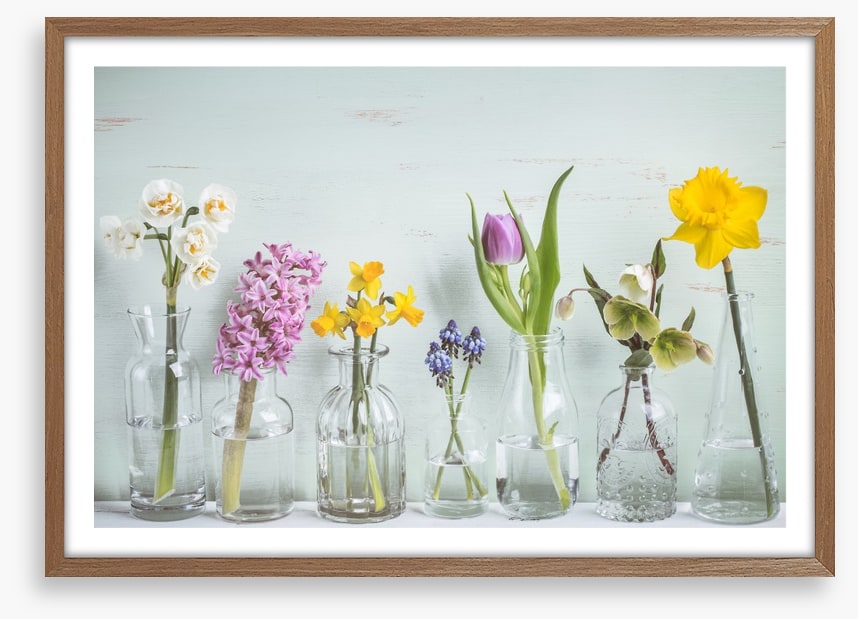 Seven days of spring