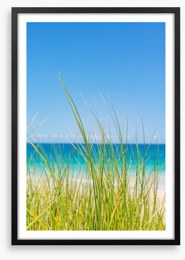 Past the beach grass