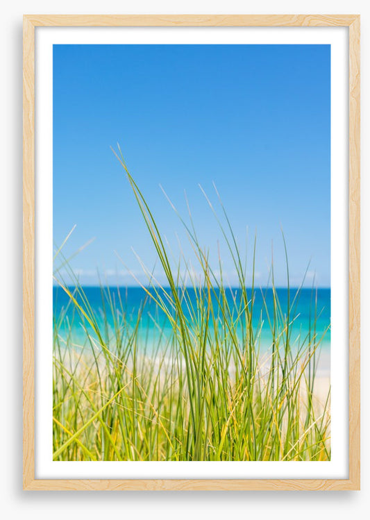 Past the beach grass