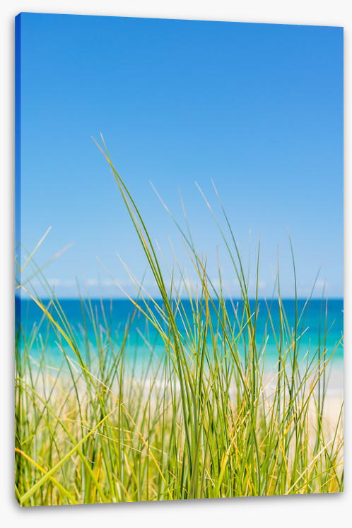 Past the beach grass