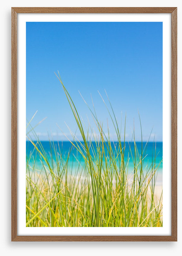 Past the beach grass