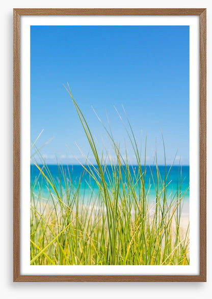 Past the beach grass