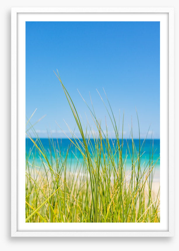 Past the beach grass