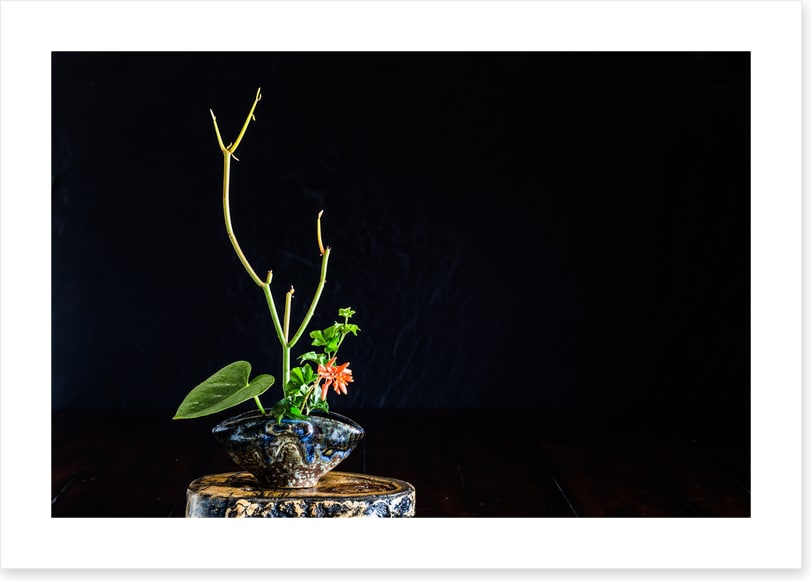 Moribana