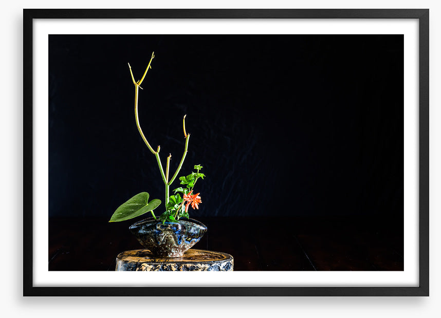 Moribana