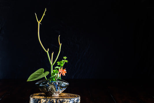 Moribana