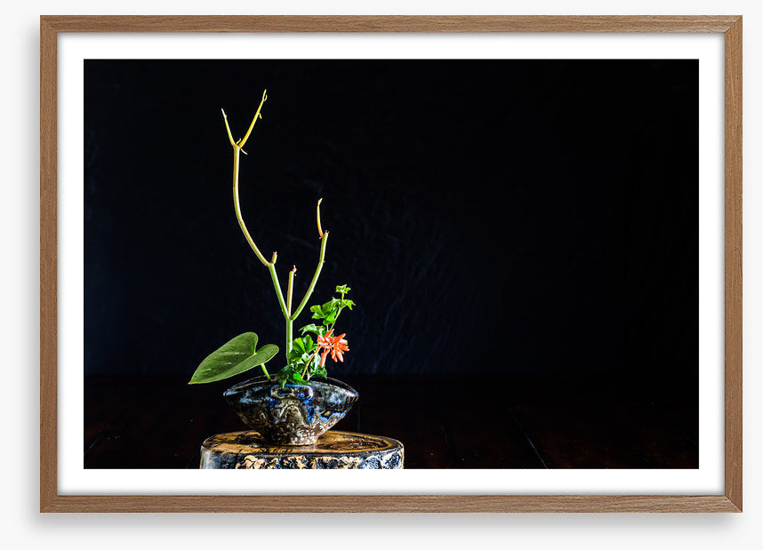 Moribana