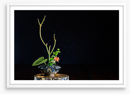 Moribana