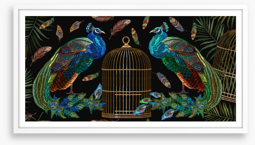 Free from the cage