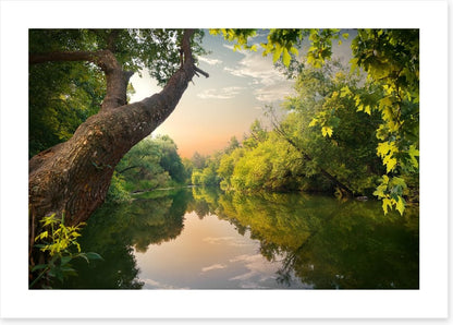 Mirror river evening