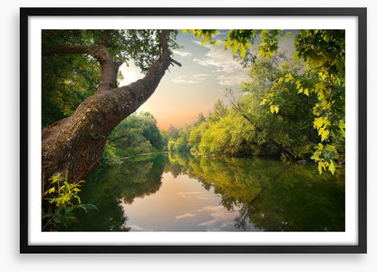 Mirror river evening