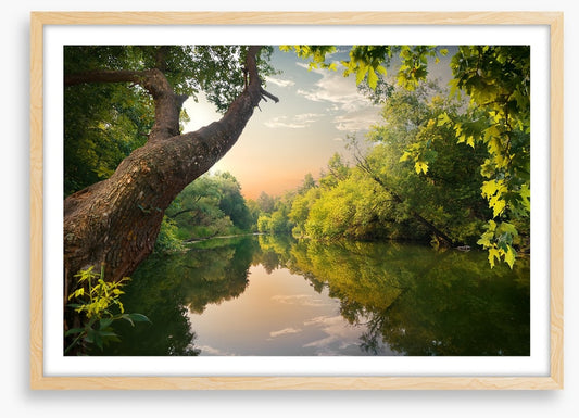 Mirror river evening