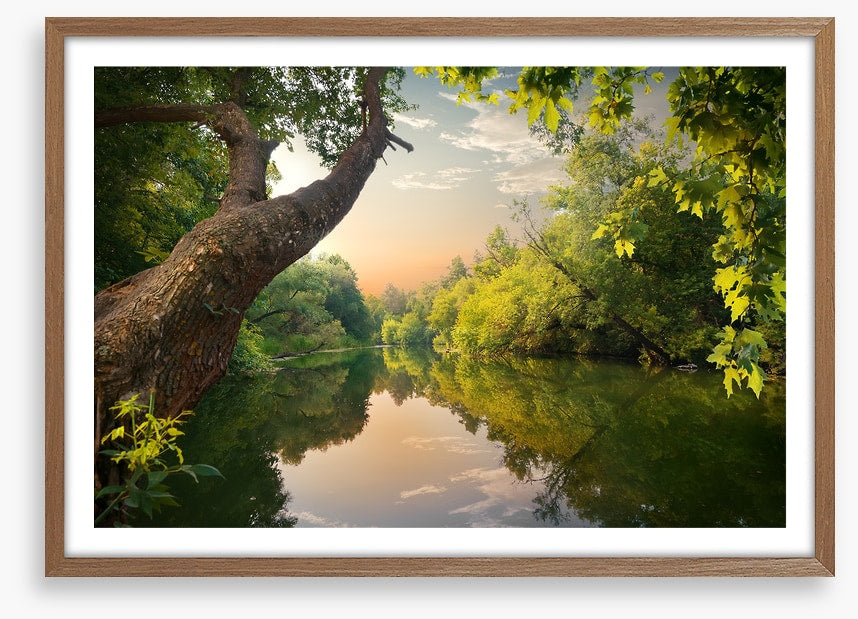 Mirror river evening
