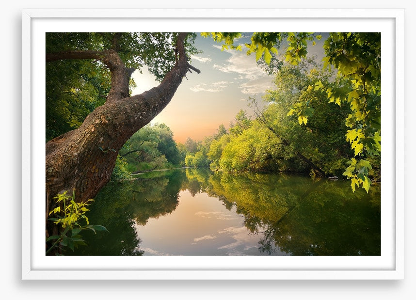 Mirror river evening