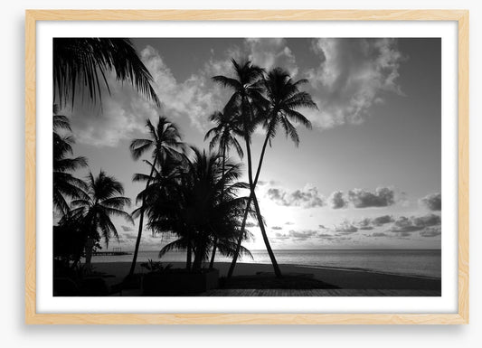 Silhouettes on the shore
