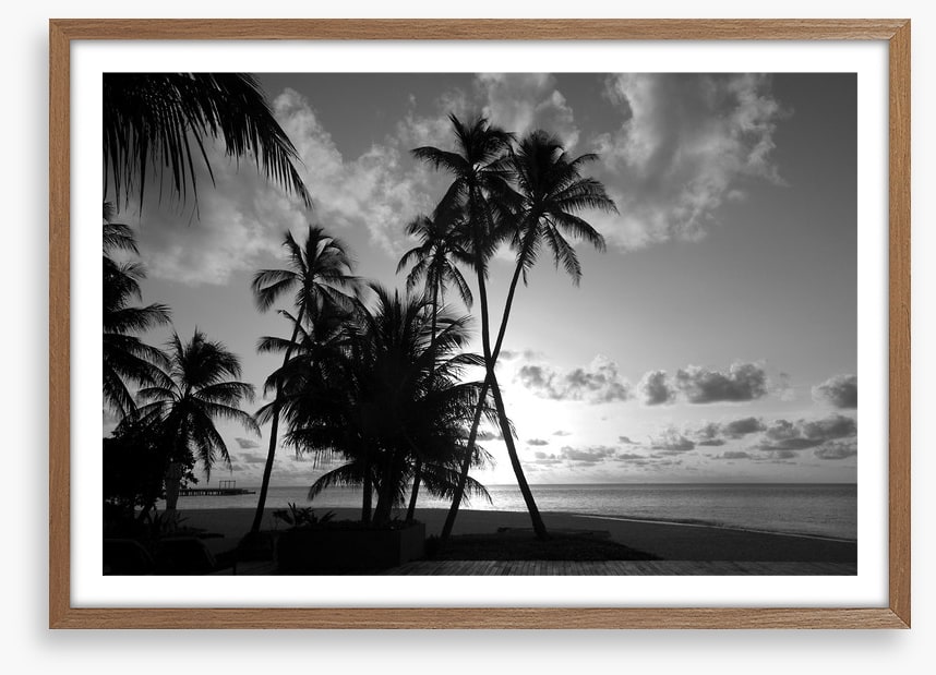 Silhouettes on the shore