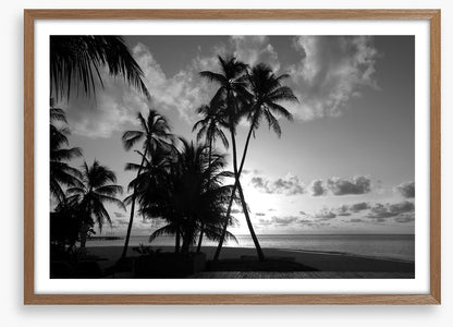 Silhouettes on the shore