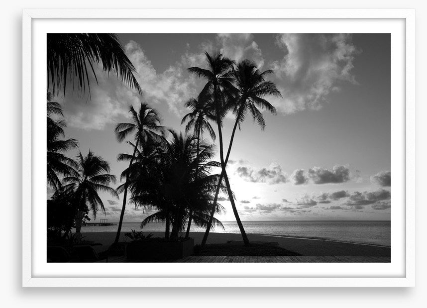 Silhouettes on the shore