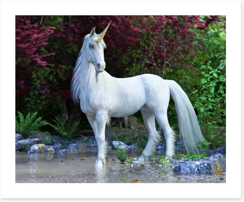 Unicorn of the glade