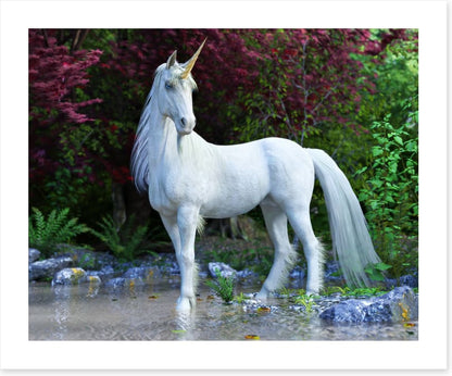 Unicorn of the glade