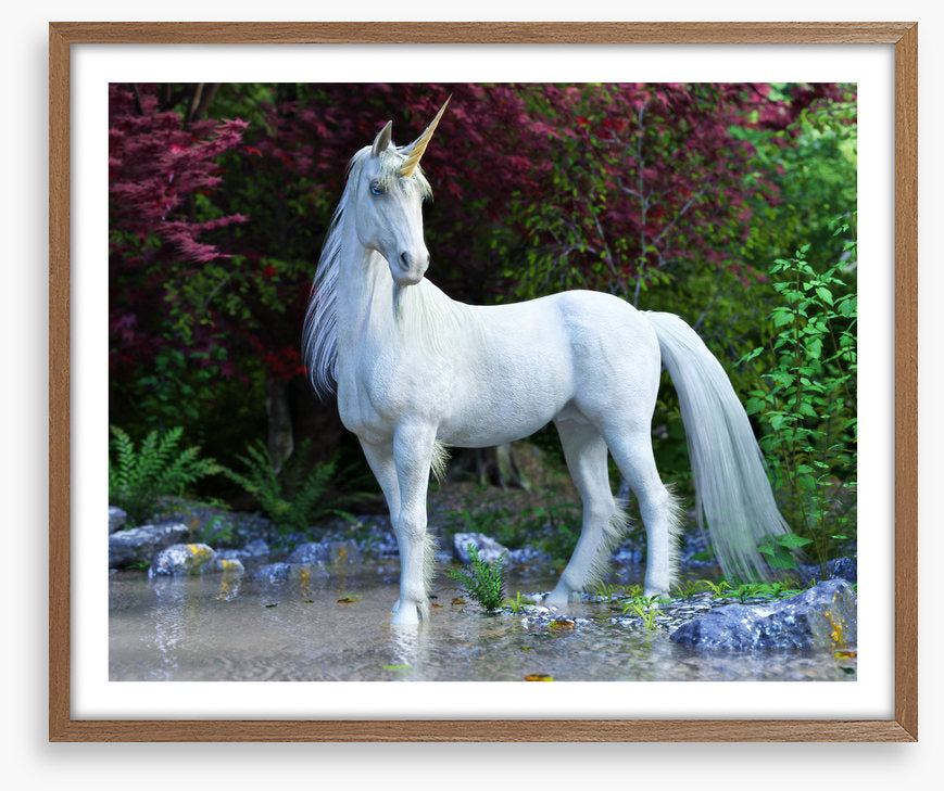 Unicorn of the glade