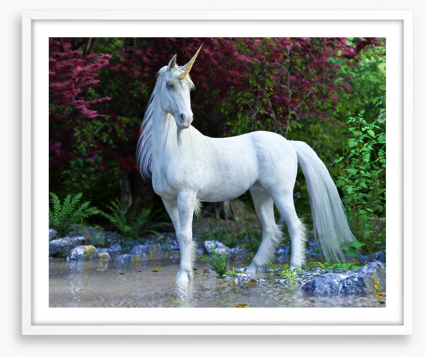 Unicorn of the glade