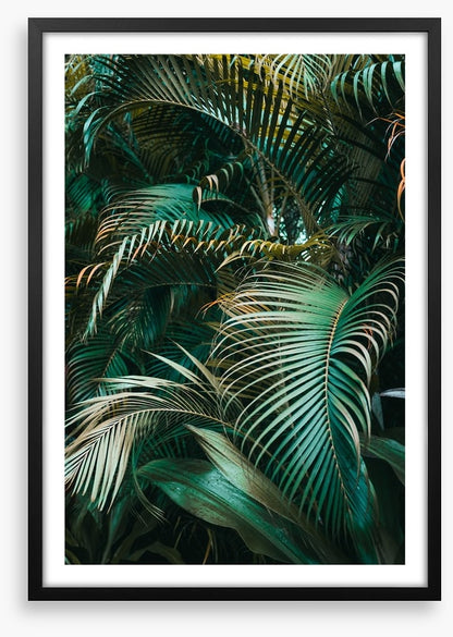 Jungle dreams