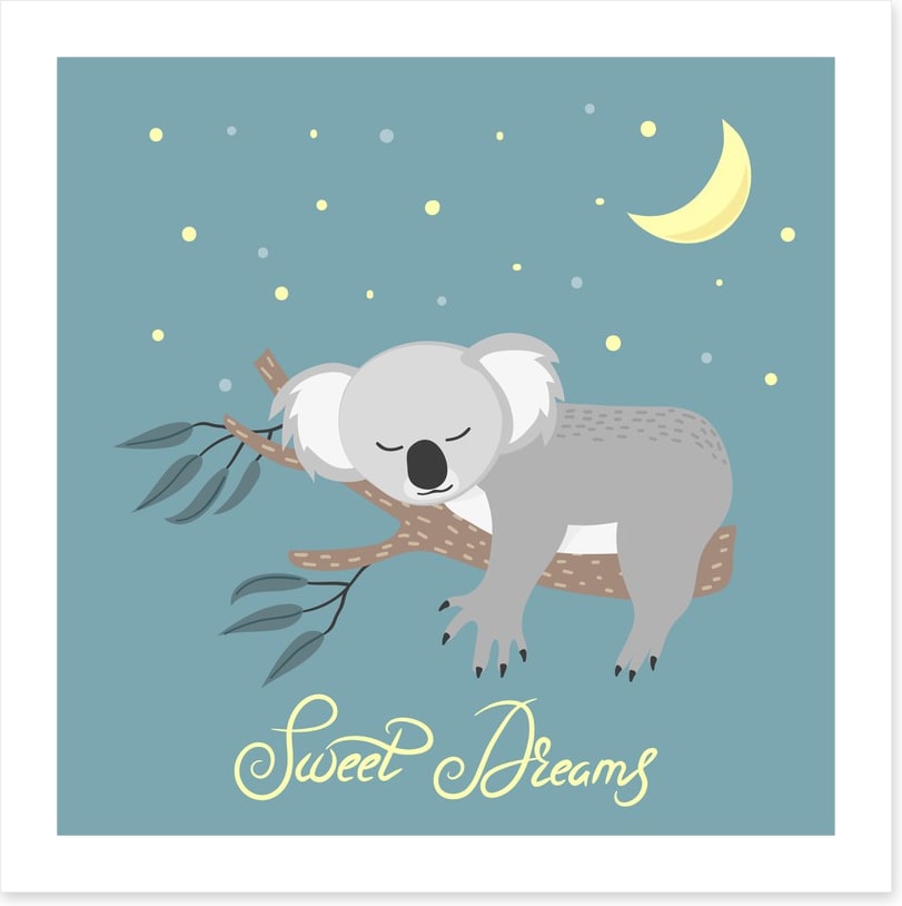 Sweet dreams koala