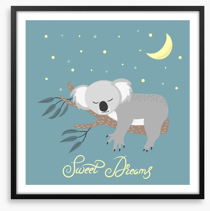 Sweet dreams koala