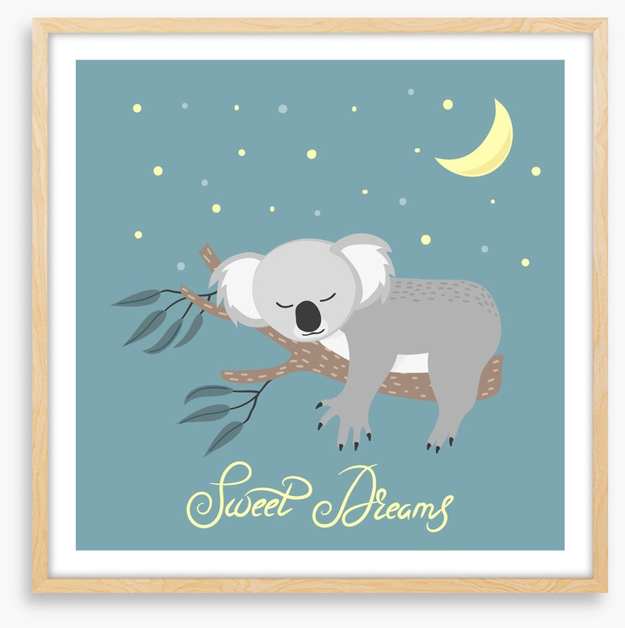 Sweet dreams koala