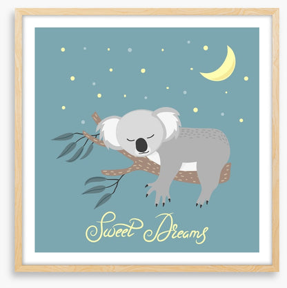 Sweet dreams koala