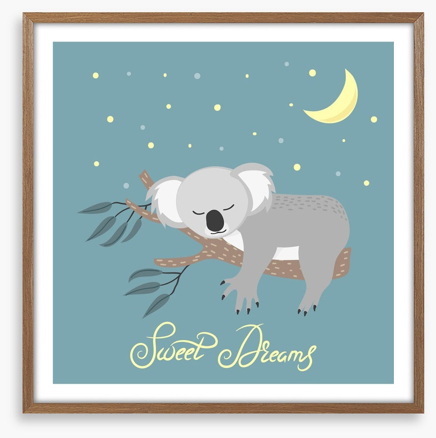 Sweet dreams koala