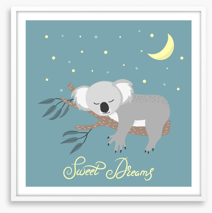 Sweet dreams koala