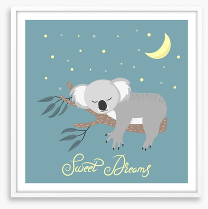 Sweet dreams koala