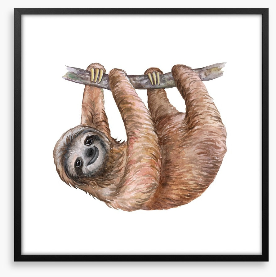 Hanging sloth