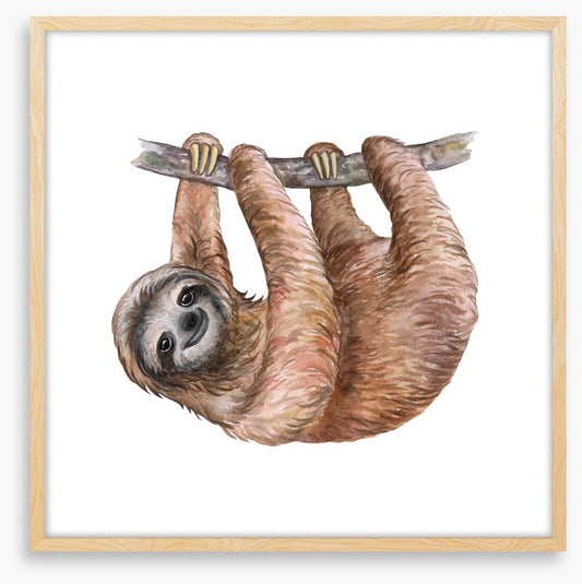Hanging sloth